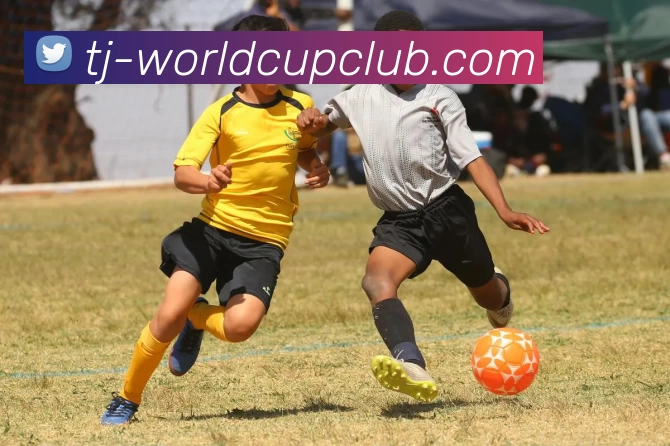 足球赛事投注平台生态图